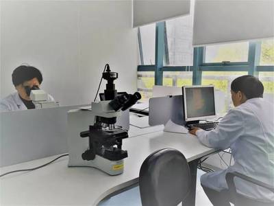 上海公司專業健康體檢與檢驗科服務，守護您的健康生活